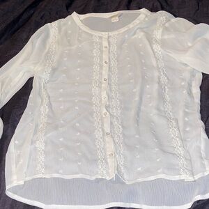 Ariat sheer light cream colored button down long sleeve top size L/G